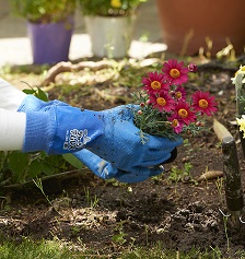 No.283ジャージテムレス