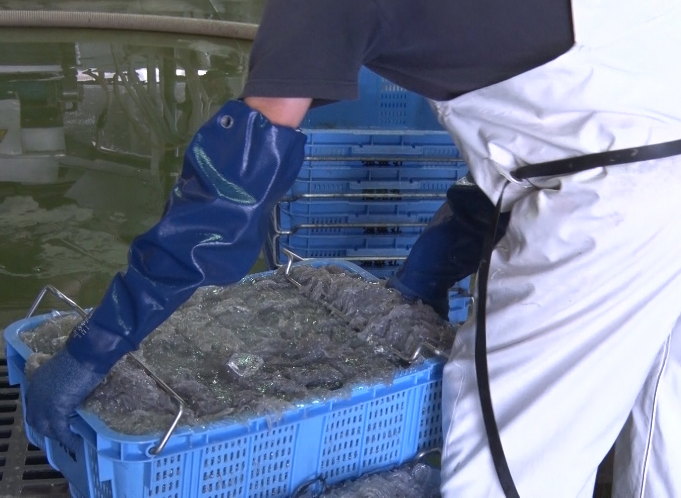 ユース画像(ニトローブTYPE-R65 )