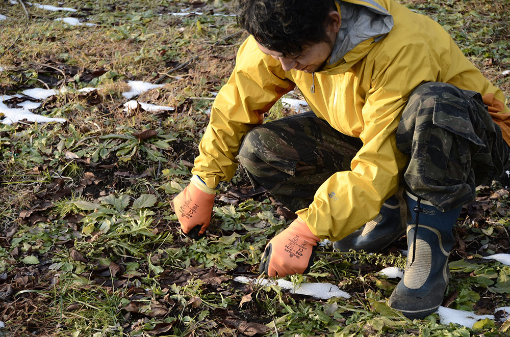 ユース画像(防寒HOLD)