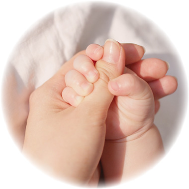 加硫促進剤不使用