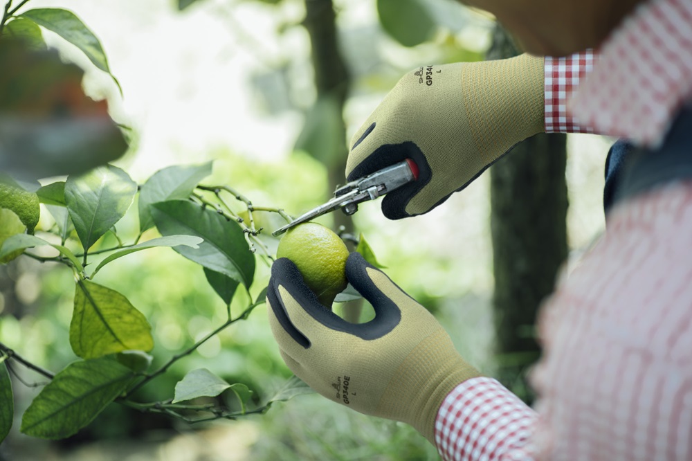 ユース画像（GP340E)