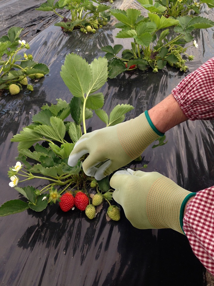 ユース画像（GP500E)