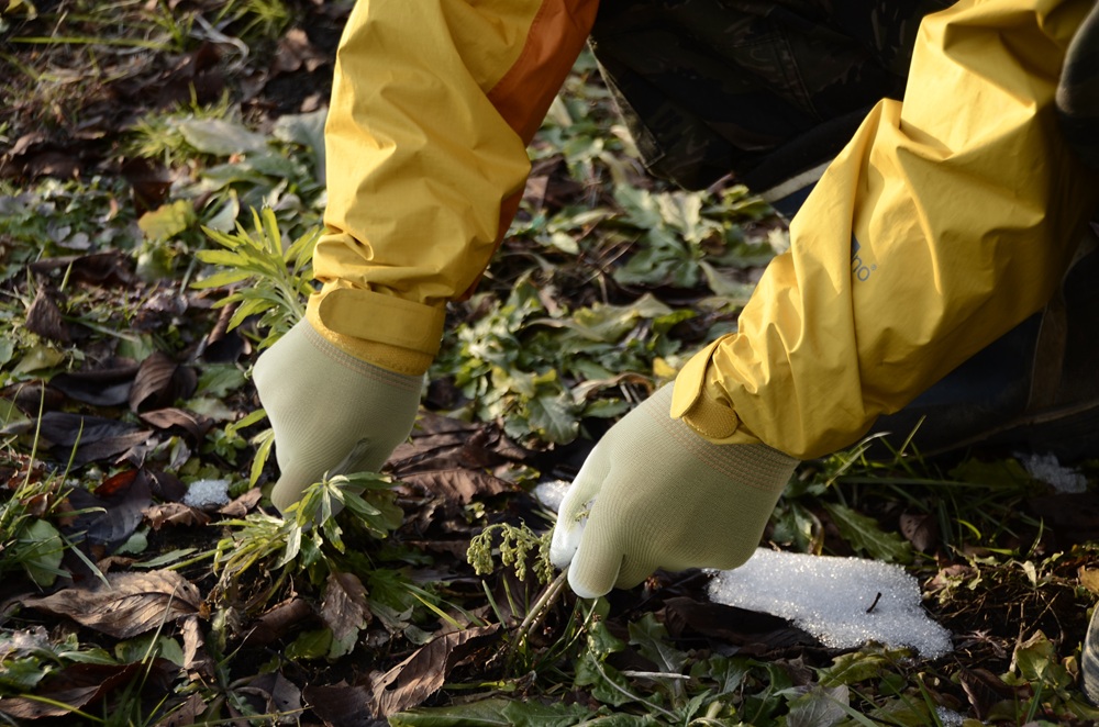 ユース画像（GP500E)