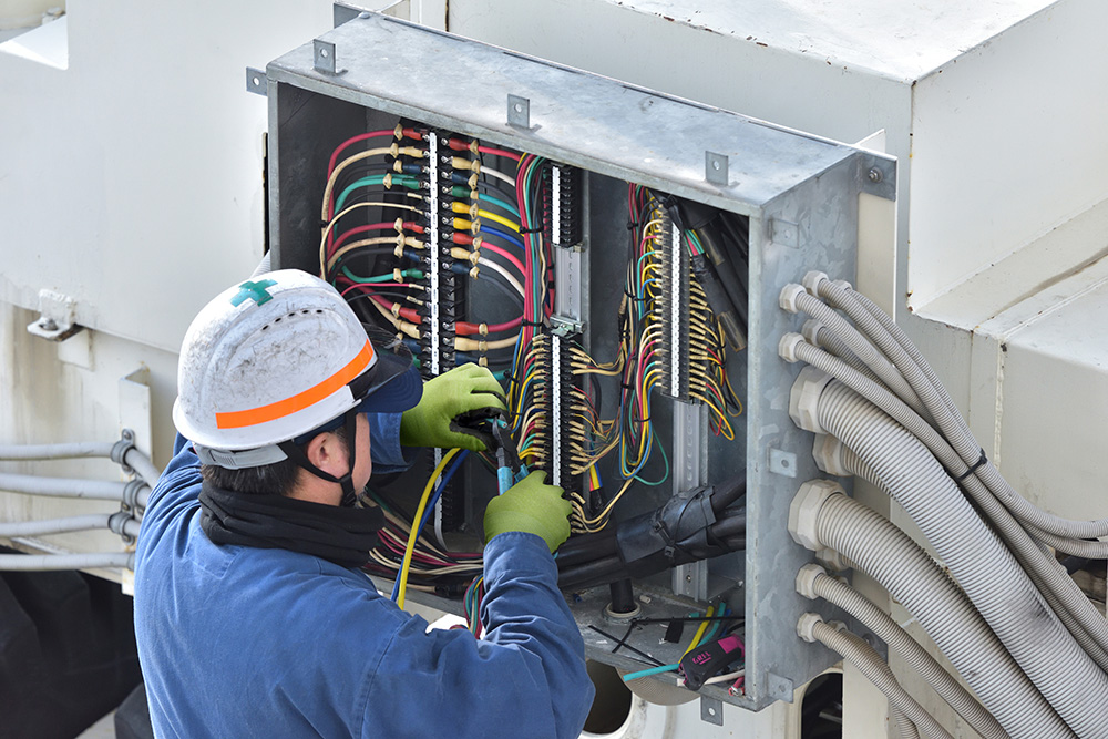 ユース画像（S-TEX Alpha XC520）