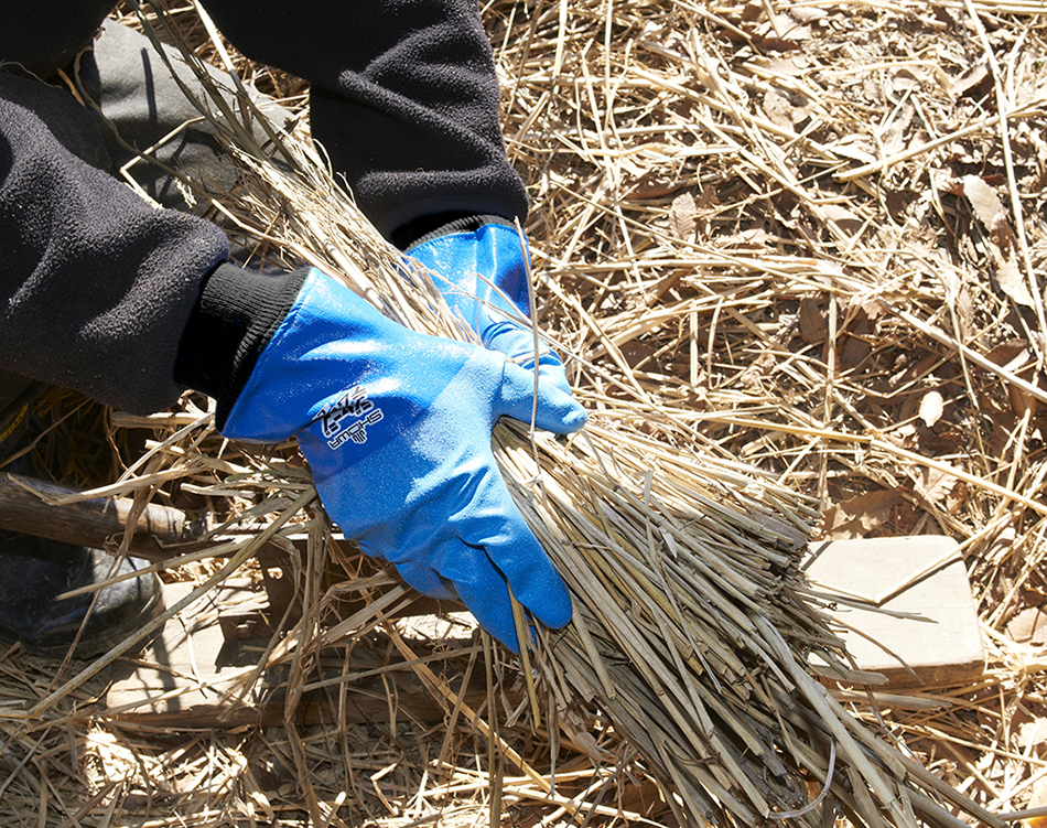 ユース画像（ジャージテムレス）