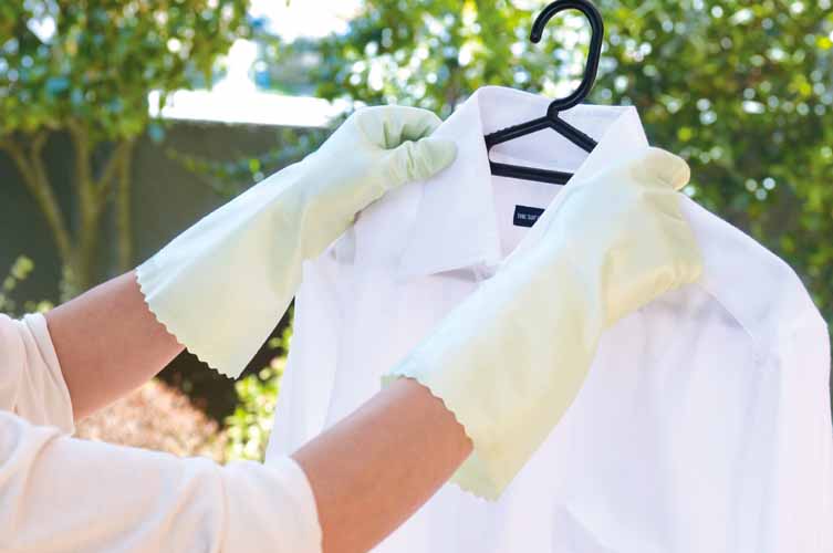 イメージ画像（ナイスハンドさらっとタッチG）