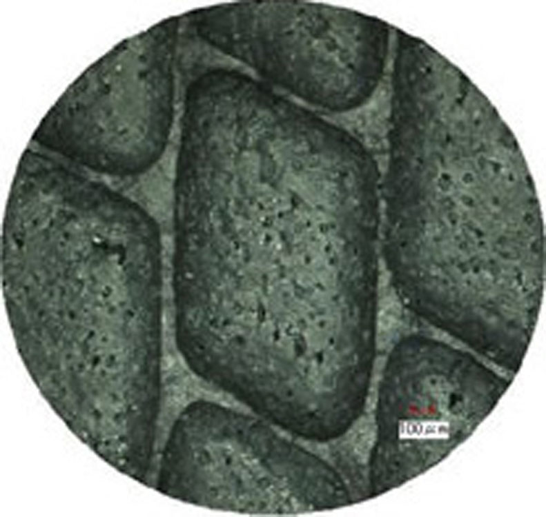 水や油が付着しても、スベリにくい